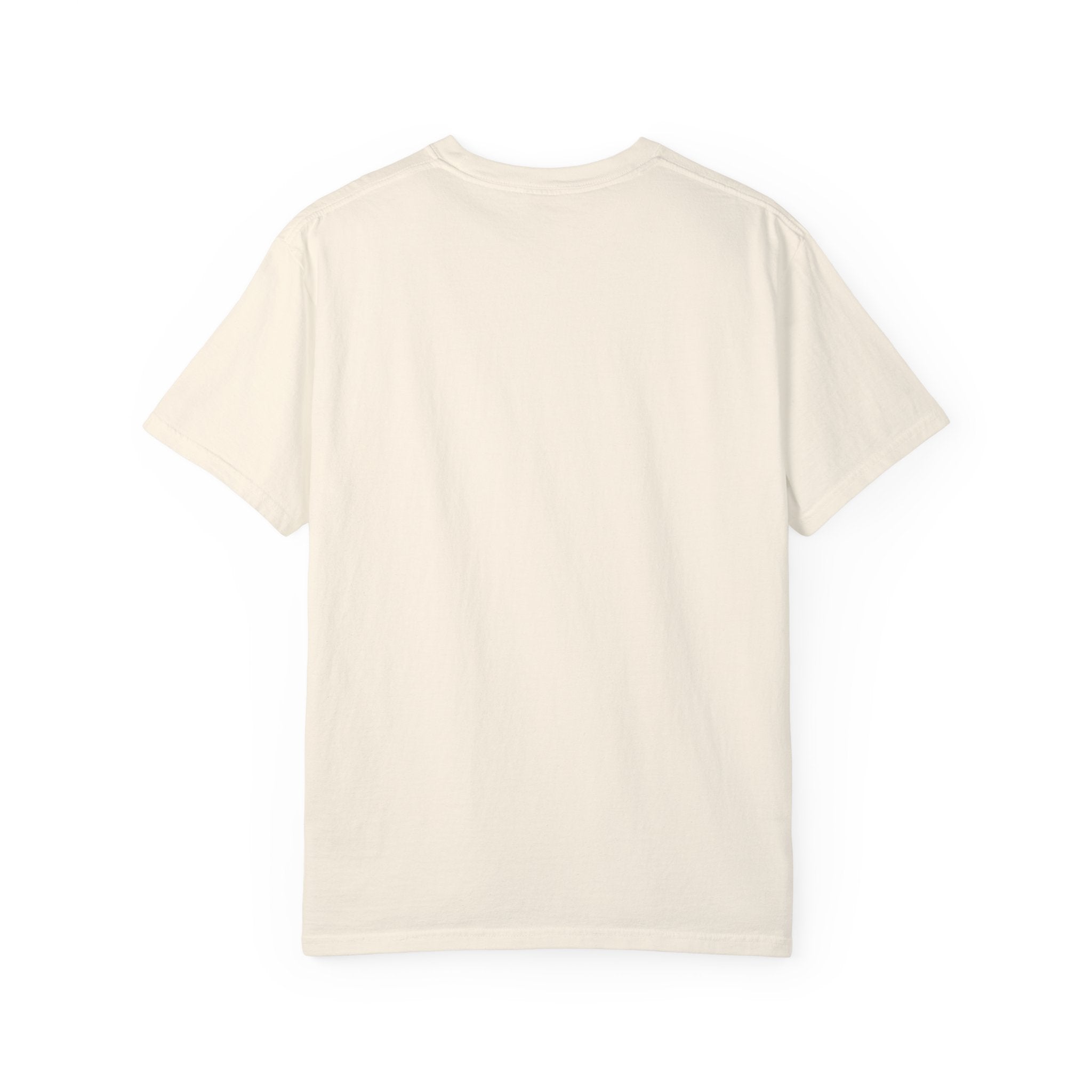 Jesus Paid It All Comfort Colors T-shirt
